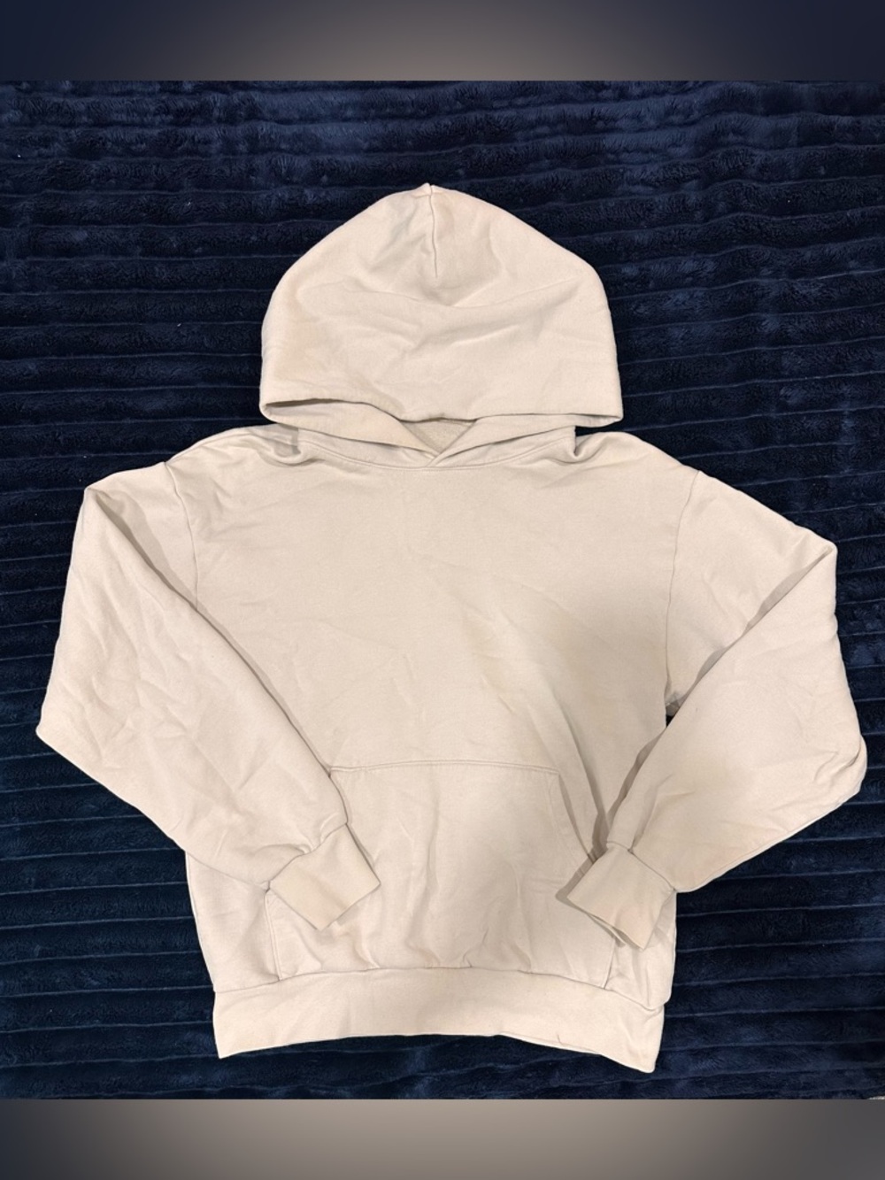 Aritzia the constant hoodie